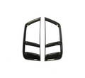 Audi R8 Vorfacelift Carbon Heckgrillabdeckung - CT Design